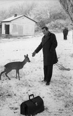 Евгений Николаевич и ручная косуля Таня
