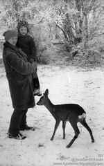 Ангарский перевал. Начальник метеостанции Кокшарова В. П. с Димой и ручная косуля Таня