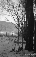 Кордон лесника на Тавеле 02 января 1977