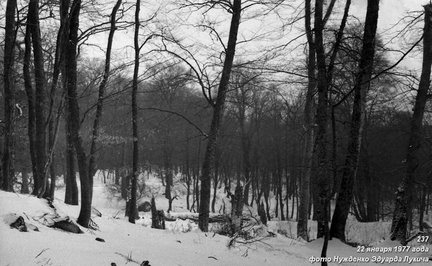 Лес под Бабуганом. Спуск через Ак-Чокрак на Горное Озеро