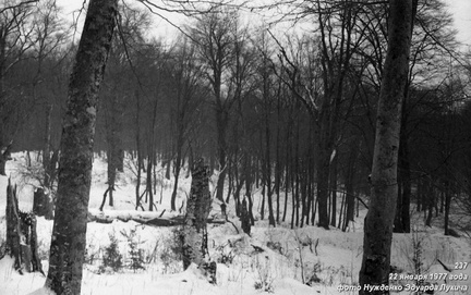 Лес под Бабуганом. Спуск через Ак-Чокрак на Горное Озеро
