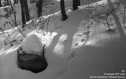 Лес под Бабуганом. Спуск через Ак-Чокрак на Горное Озеро
