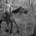Лесник Мамыкин Василий Павлович с лошадью на стоянке родника Ак-Чокрак