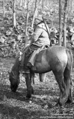Лесник Мамыкин Василий Павлович с лошадью на стоянке родника Ак-Чокрак