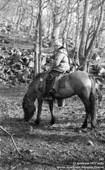 Лесник Мамыкин Василий Павлович с лошадью на стоянке родника Ак-Чокрак