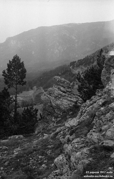 267-025.jpg