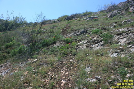 Куртоир. Северо-восточная тропа