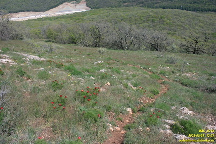 Куртоир. Северо-восточная тропа