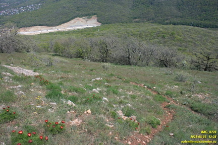 Куртоир. Северо-восточная тропа