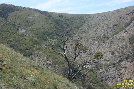 Куртоир - Орлиное. Тропа