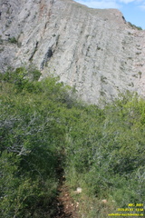 Куртоир - Орлиное. Тропа