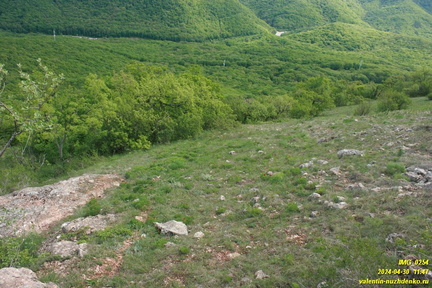 Куртоир