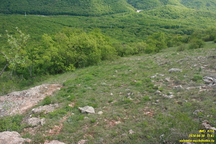 Куртоир