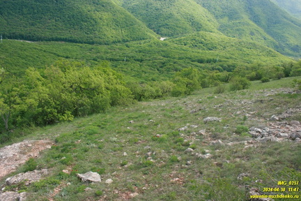 Куртоир