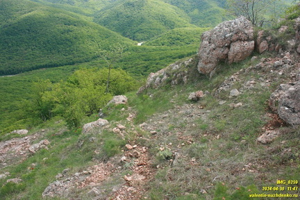 Куртоир