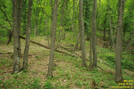 Подъем на Куртоир рядом с Орлиным