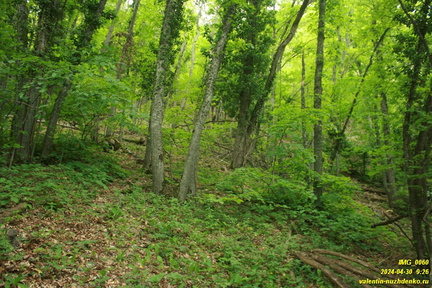 Подъем на Куртоир рядом с Орлиным