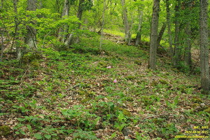 Подъем на Куртоир рядом с Орлиным