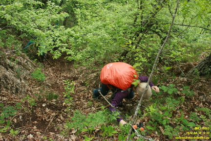 Подъем на Куртоир рядом с Орлиным