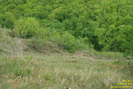 Подъем на Куртоир рядом с Орлиным