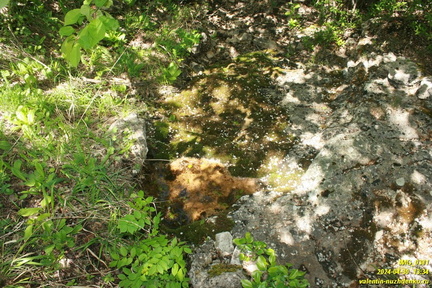Куртаир.Родники.