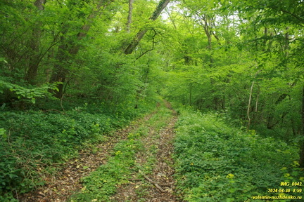 Дорога возле оврага Куртаир