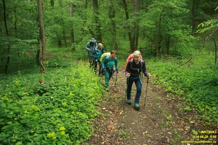 Дорога возле оврага Куртаир