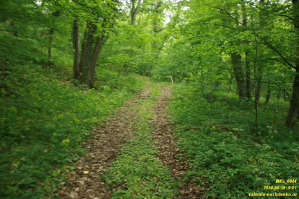 Дорога возле оврага Куртаир