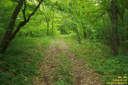 Дорога возле оврага Куртаир