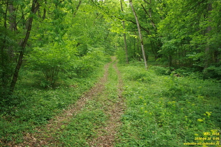 Дорога возле оврага Куртаир