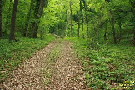 Дорога возле оврага Куртаир