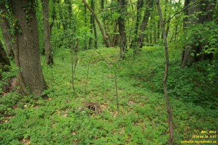 Дорога возле оврага Куртаир