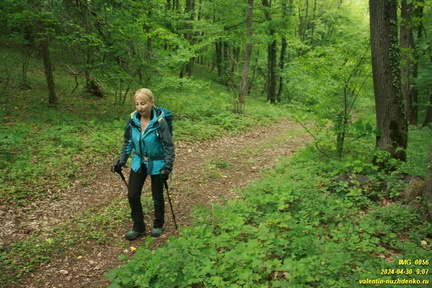 Дорога возле оврага Куртаир