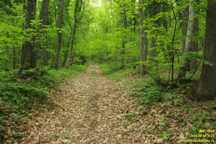 Дорога возле оврага Куртаир