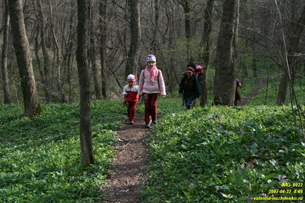 Дорога возле оврага Куртаир