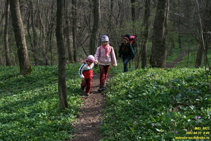 Дорога возле оврага Куртаир