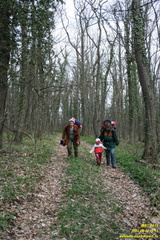 Дорога возле оврага Куртаир