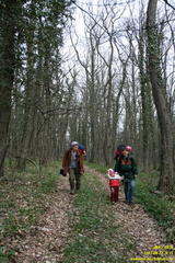 Дорога возле оврага Куртаир