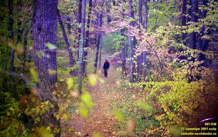 Под Куртоиром