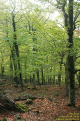 Тропа Аранлар-Хыр-Йол и район
