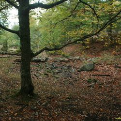08 Аранлар-Хыр-Йол. Родник в верховьях оврага