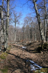 Тропа Аранлар-Хыр-Йол и район