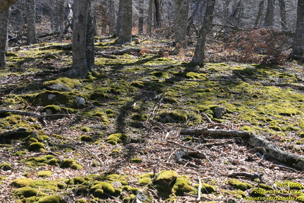 Тропа Аранлар-Хыр-Йол и район