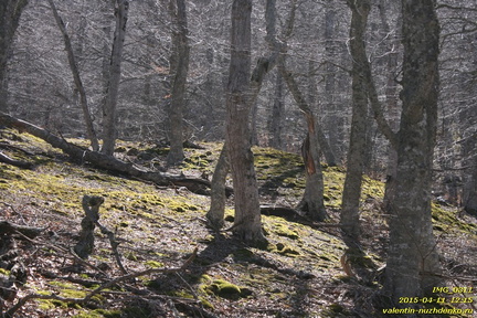 Тропа Аранлар-Хыр-Йол и район