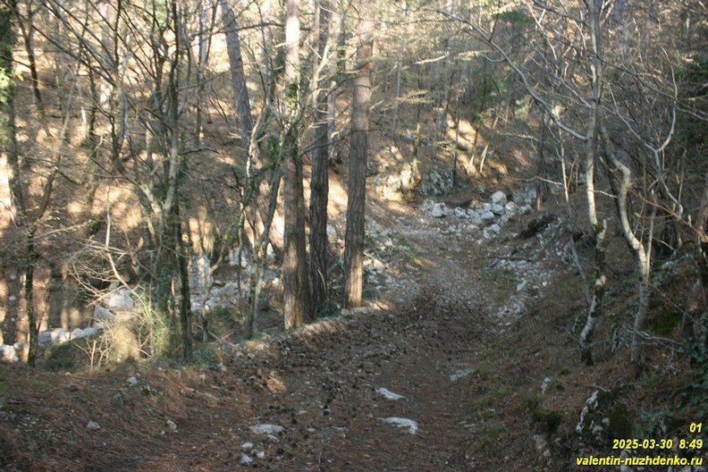 kamderek-1.JPG