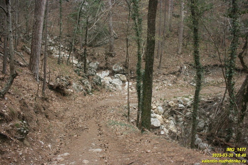 kamderek-5.JPG