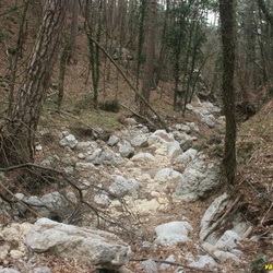 000 - русло Камдерека ниже нижней пожарной дороги