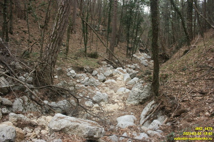Камдерек