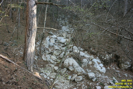 Камдерек