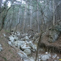 Камдерек